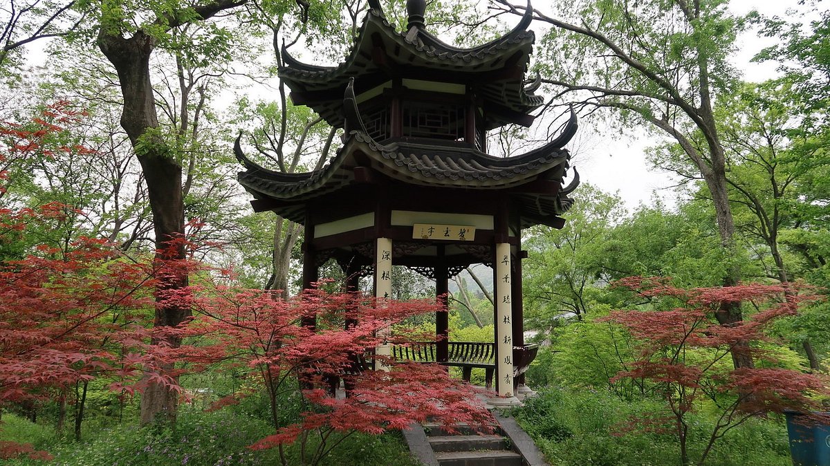 Pavillon traditionnel entouré de végétation à Zhongshan, dans la région de Canton